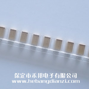 100uFNƬg 25V M