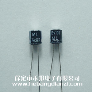 M늽16V-100uF L