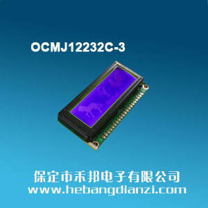 OCMJ12232C-3 { 3.3V